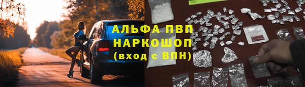 стаф Аркадак