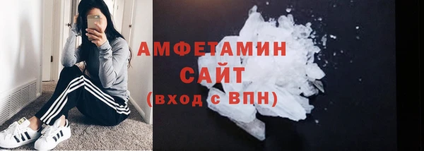 стаф Аркадак