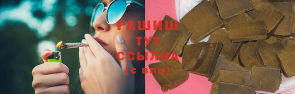 стаф Аркадак