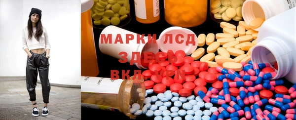 стаф Аркадак