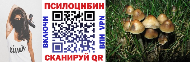 маркетплейс Telegram  что такое наркотик  Щёкино  Псилоцибиновые грибы Psilocybe 